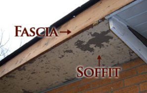 Fascia board replacement and painting Parkland